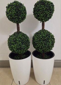 PAIR of 3ft Faux Boxwood Topiaries in 16" White Resin Planters (2 for $130) @ Lasting Creations