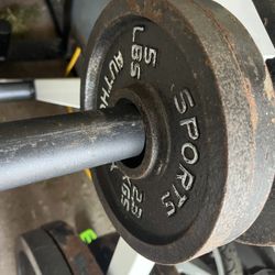 Pair Of 5 Lb Olympic Weight Plates