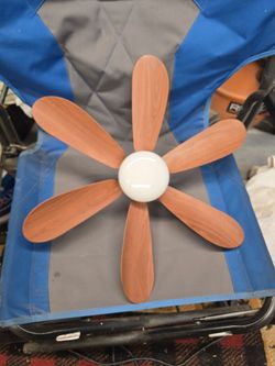 Socket fan and light