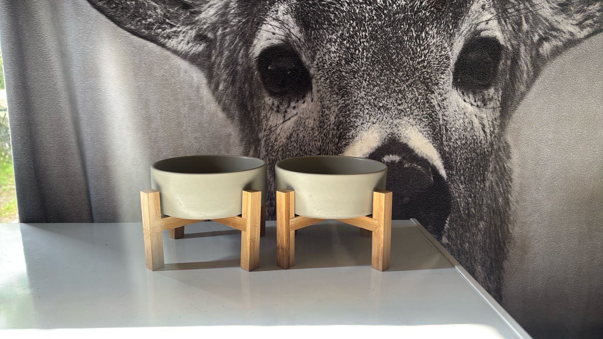 Elevated Cat Food Bowl