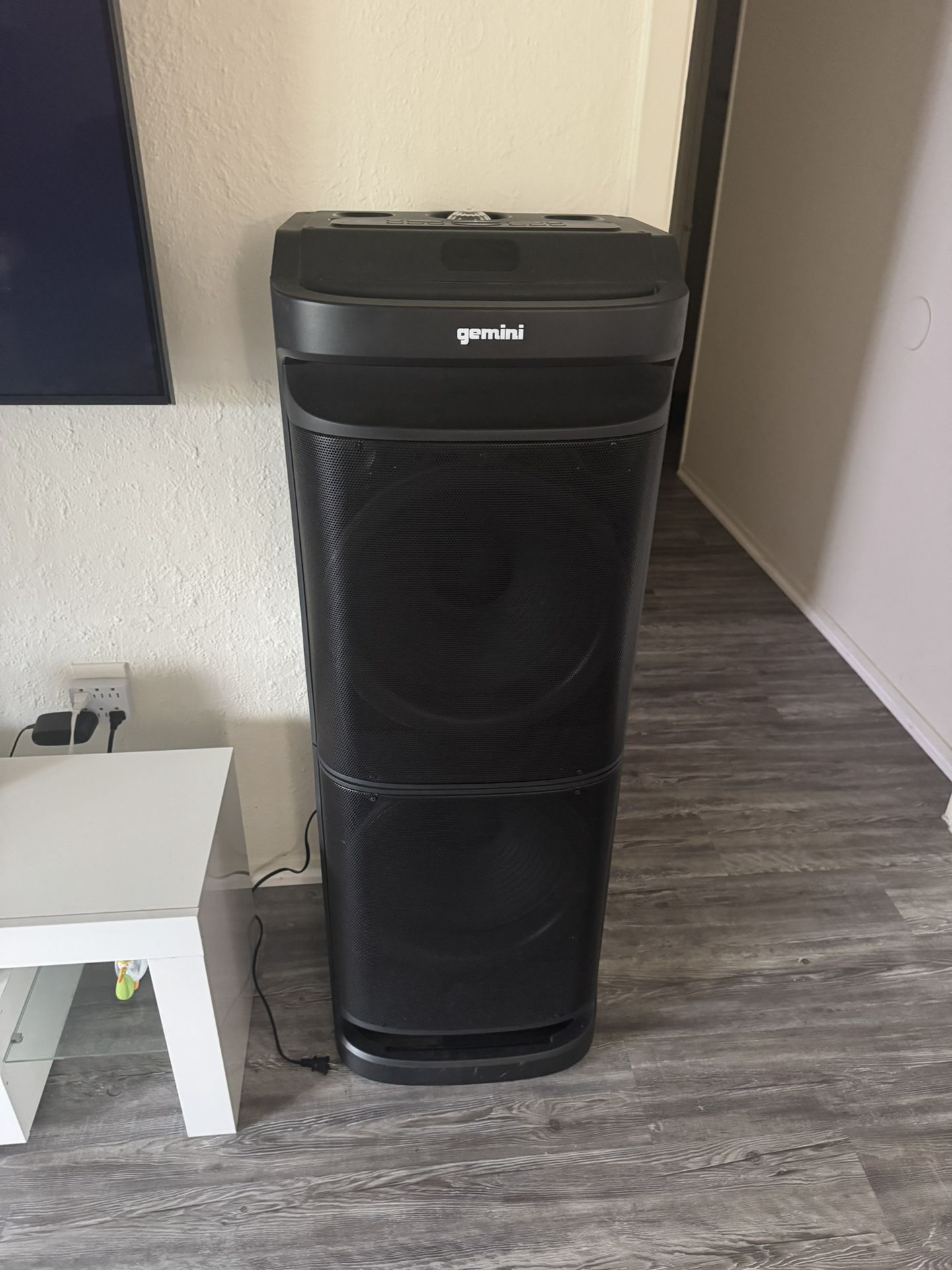 Gemini Speaker