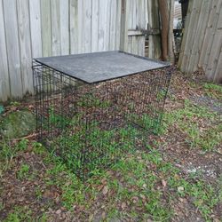Dog Cage 