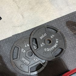 45lb Steel Plate Pair 