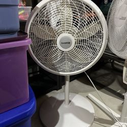 Fan