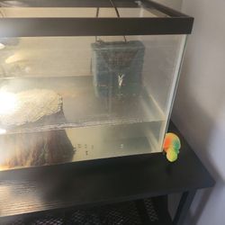 10 Gallon Turtle Tank 🐢  With New Filter Pump