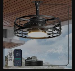 Outdoor ceiling fan with lights