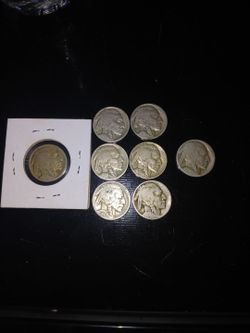 8 Buffalo Nickel Coins