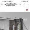 Brooklyn lady