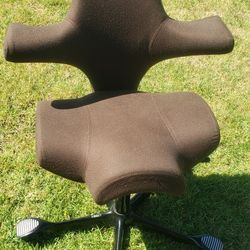 Hag Capisco Desk Chair 