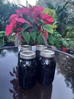 SORREL DRINK