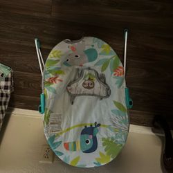Baby Bouncer 
