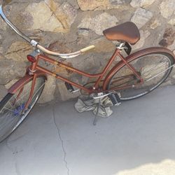 All Pro Vintage Bike