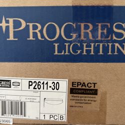Progress Lighting P2611-30 AirPro Light Kit
