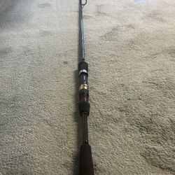 Daiwa spinning rod