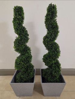 *** NEW LOW PRICE *** PAIR of 46" Faux Boxwood Spirals in 12" Gray Planters (2 for $120) @ Lasting Creations