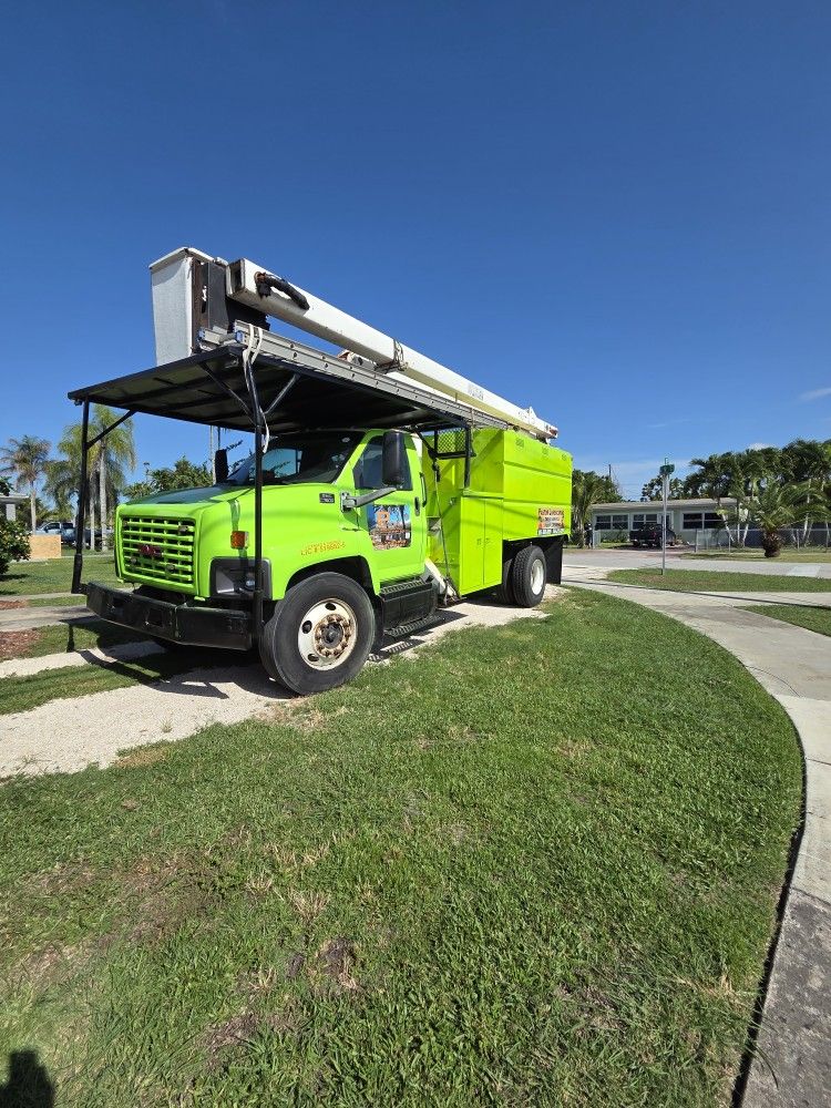 Tree Trimming In South Fl