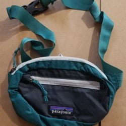 Patagonia Fanny Bag $30