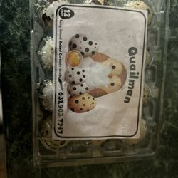 Fresh Quail Eggs