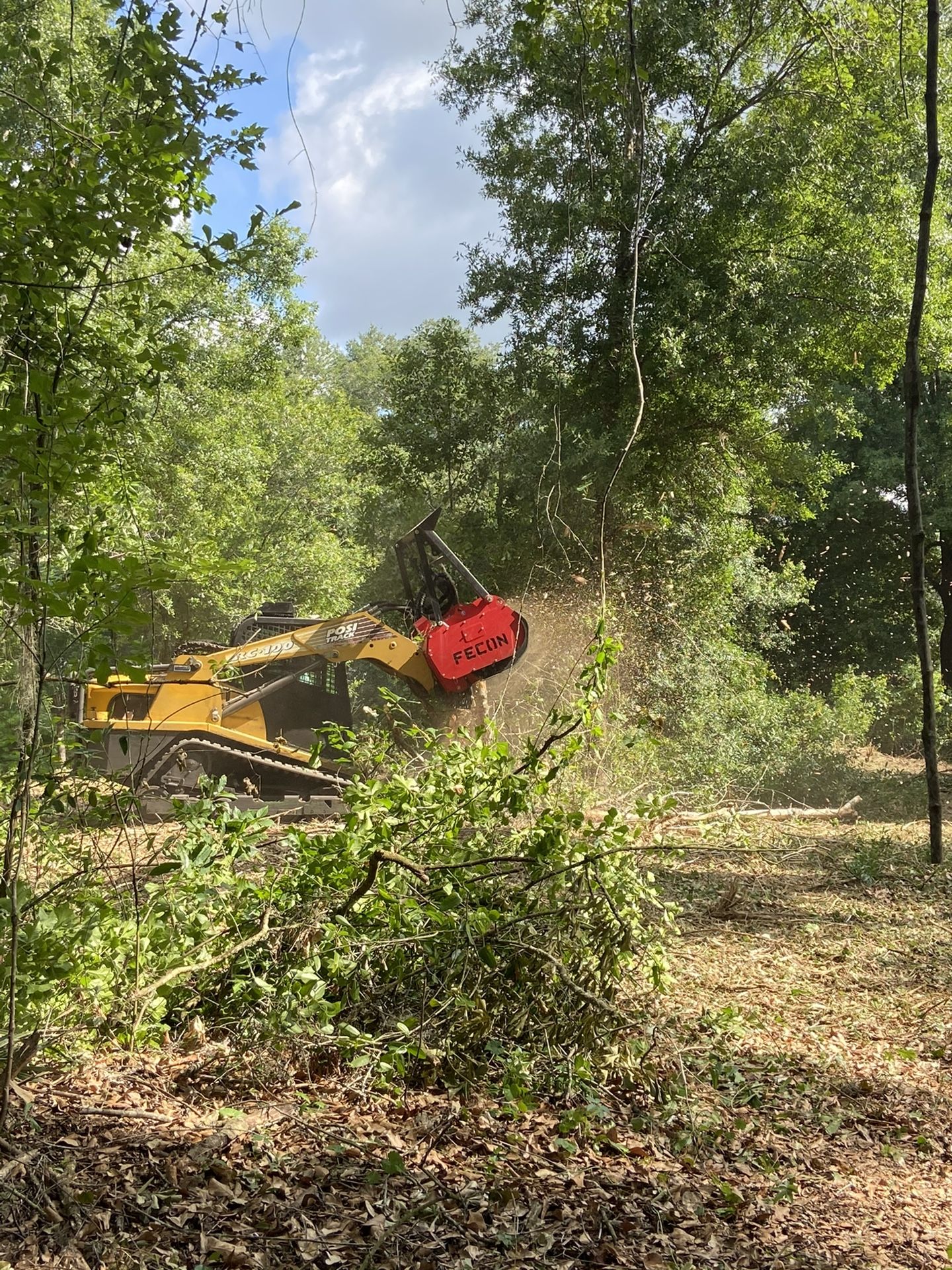 Land Clearing, Bush-hog, Excavating, Forestry’s Mulching