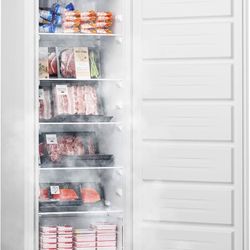 Upright Freezer 