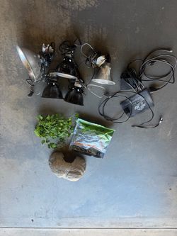 Reptile supplies lights- cave- decor