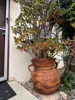 Flowerpot