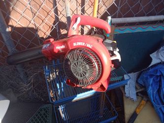 Homelight Blower