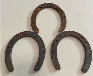 HORSE SHOES