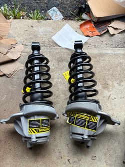 Suspension strut and coil spring assembly