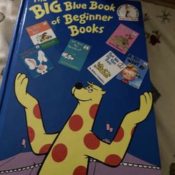 $19 The Big Blue Book