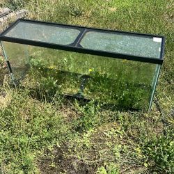 55 Gallon Fish Tank