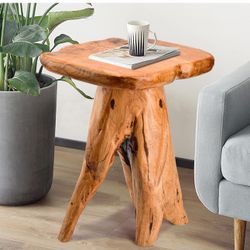 Mushroom Side Table, 18.9 inch Tall Live Edge Wood Stool, Freeform Natural Plant Stand for Garden, Yard, Living Room, Bedroom