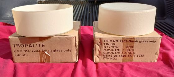 Unique Frosted Glass Large Decorative Bowl