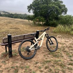 2023 Canyon Mountain Bike 29er Large Frame 