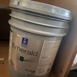 White Paint