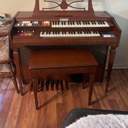 Small Organ 