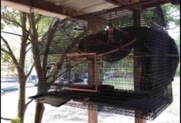 Huge cage