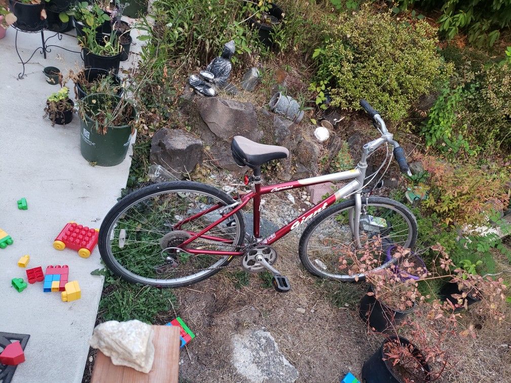 Mens Bike - Giant Brand