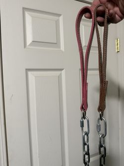 Dog Leashes