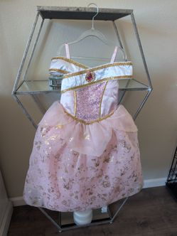 Disney Aurora costume