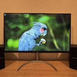 LG 32" Ultrafine 4K Monitor