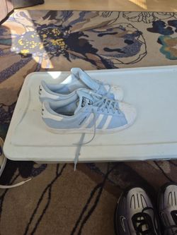 Shell  toe addidas