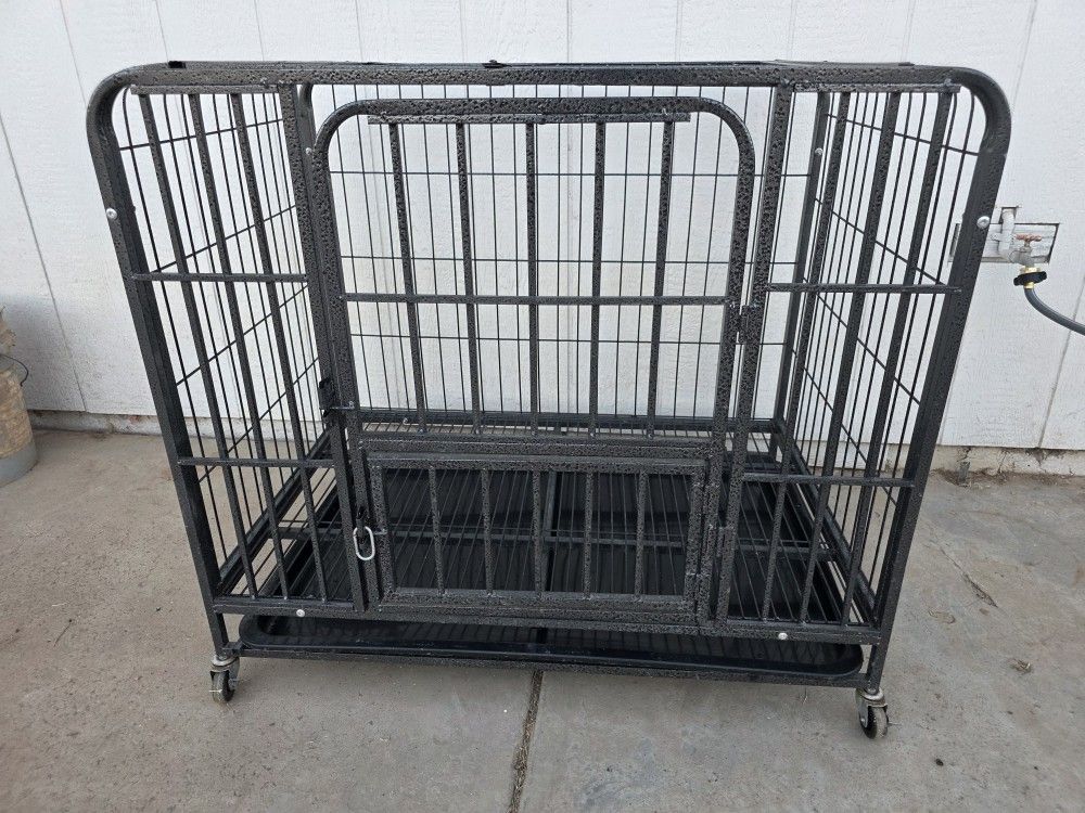 Dog Kennel