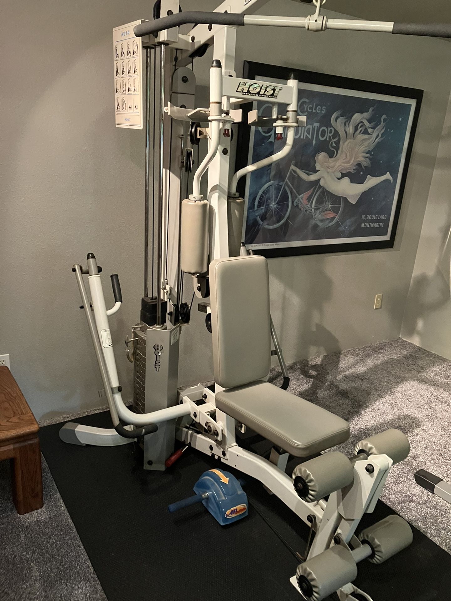Hoist Home Gym