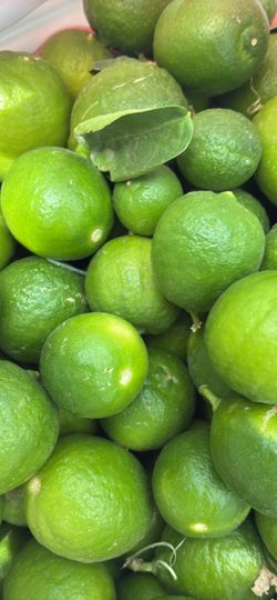 Organic Key Limes Fresh off the tree