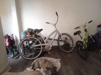 2for 1 beach cruiser and freestyle 20inch tires