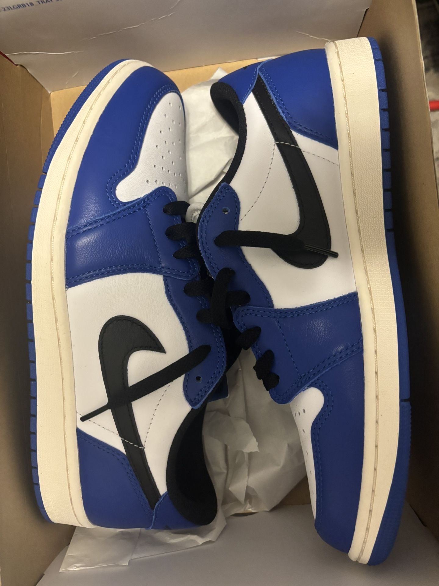 Jordan 1 & Nike Dunks