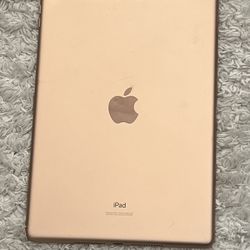 Apple iPad 