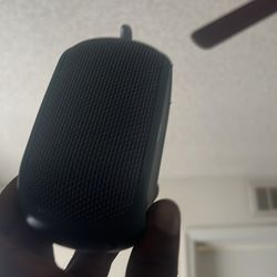 Ion Speaker 