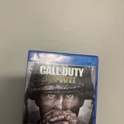 Call Of Duty WW2 Game 
